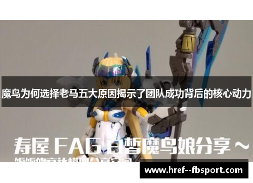 魔鸟为何选择老马五大原因揭示了团队成功背后的核心动力