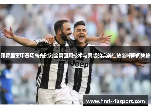 佩德里意甲赛场高光时刻全景回顾技术与灵感的完美绽放巅峰瞬间集锦