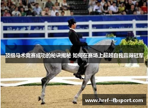 顶级马术竞赛成功的秘诀揭秘 如何在赛场上超越自我赢得冠军